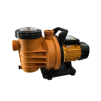 Basseini veepump